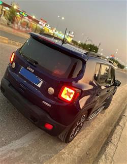 جيب رينيجيد